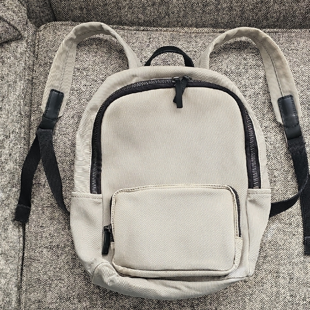Everlane Grayish / Black Backpack